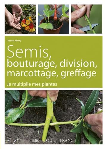 Beispielbild fr SEMIS, BOUTURAGE, DIVISION, MARCOTTAGE, GREFFAGE zum Verkauf von medimops