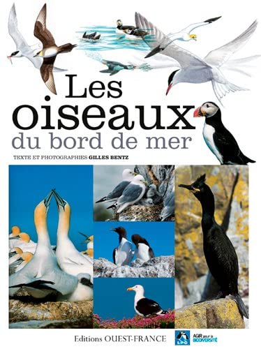 Stock image for Les Oiseaux du bord de mer for sale by Ammareal