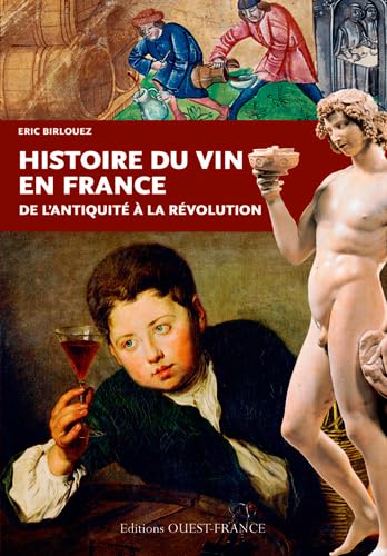 Beispielbild fr HISTOIRE DU VIN EN FRANCE zum Verkauf von medimops