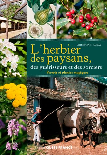 Beispielbild fr L'herbier Des Paysans, Des Gurisseurs Et Des Sorciers : Secrets Et Plantes Magiques zum Verkauf von RECYCLIVRE