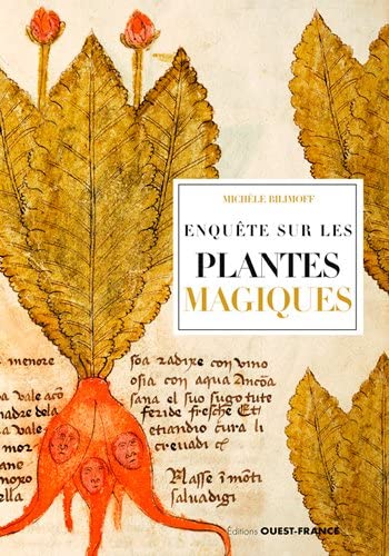 Beispielbild fr Enqute sur les plantes magiques zum Verkauf von LeLivreVert