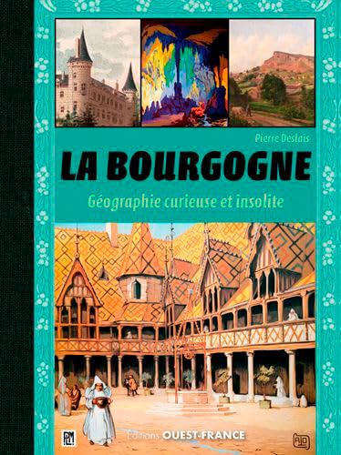 Stock image for La Bourgogne : Gographie curieuse et insolite for sale by medimops