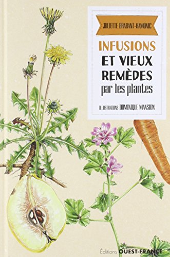 Beispielbild fr Infusions Et Vieux Remdes Par Les Plantes zum Verkauf von RECYCLIVRE