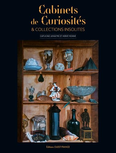 9782737380723: Cabinets de curiosits et collections insolites (BEAUX-LIV - TOUR. NOS REGIONS)