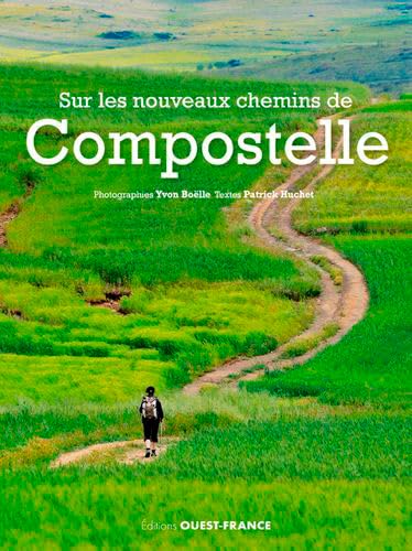 Beispielbild fr Sur Les Nouveaux Chemins De Compostelle zum Verkauf von RECYCLIVRE