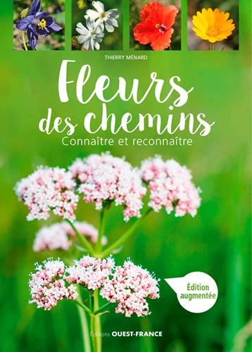 Beispielbild fr Fleurs Des Chemins : Connatre Et Reconnatre zum Verkauf von RECYCLIVRE