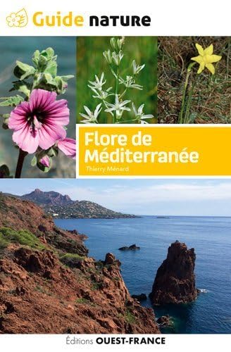 Stock image for Flore de mditerranne for sale by Gallix