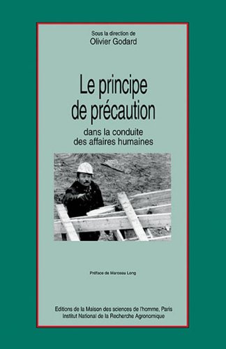 Stock image for LE PRINCIPE DE PRECAUTION for sale by Ammareal