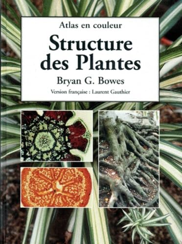 Beispielbild fr Structure des plantes zum Verkauf von Ammareal