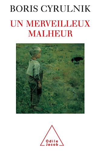 Imagen de archivo de Un merveilleux malheur (French Edition) a la venta por Better World Books: West