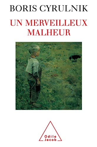 Stock image for Un merveilleux malheur for sale by Wonder Book