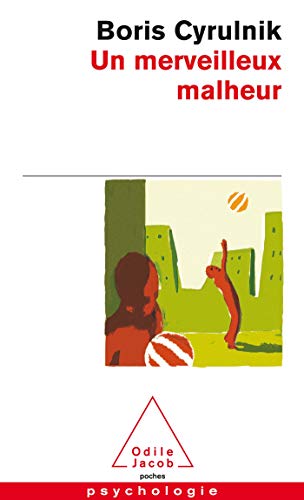 Stock image for Un Merveilleux Malheur (French Edition) for sale by Better World Books