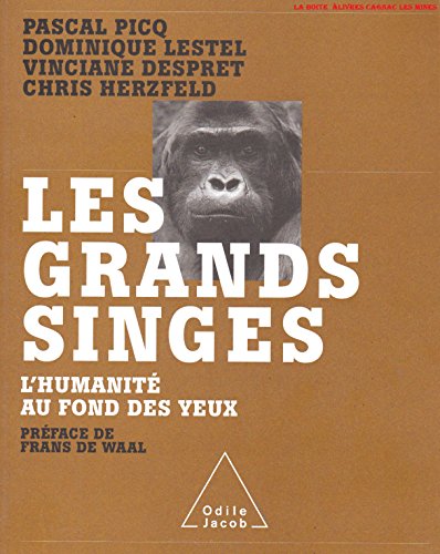 Stock image for Les grands singes : L'humanit au fond des yeux for sale by Ammareal