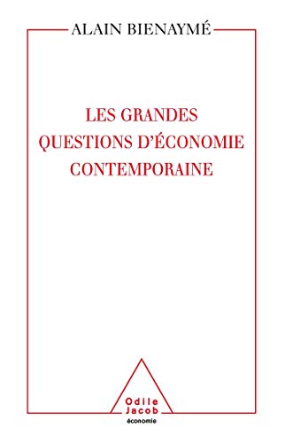 9782738117236: Les Grandes Questions d'conomie contemporaine