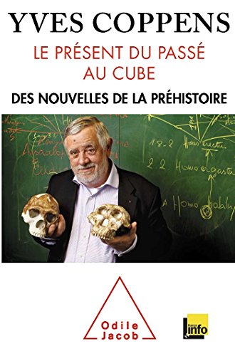 Beispielbild fr Le Prsent du pass au cube: Des nouvelles de la prhistoire zum Verkauf von Ammareal