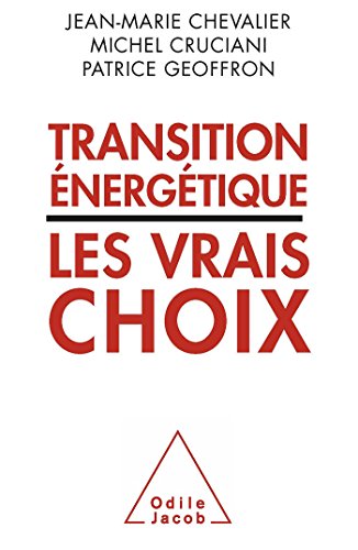 Stock image for Transition nergtique : les vrais choix for sale by Ammareal