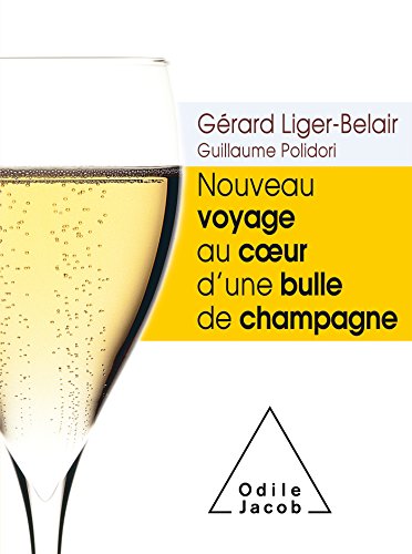 Beispielbild fr Nouveau voyage au c ur d'une bulle de champagne zum Verkauf von medimops