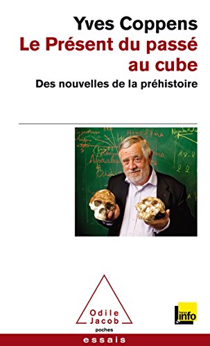 Stock image for Le Prsent du pass au cube: Des nouvelles de la prhistoire for sale by medimops