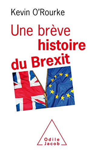 Stock image for Une breve histoire du Brexit for sale by WorldofBooks