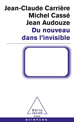 Beispielbild fr Du Nouveau Dans L'invisible zum Verkauf von RECYCLIVRE