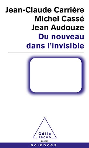 Stock image for Du Nouveau Dans L'invisible for sale by RECYCLIVRE