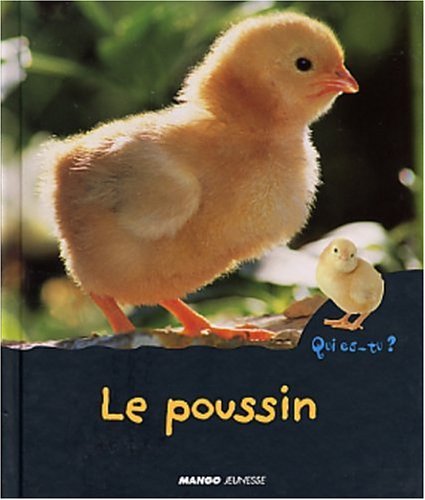 Stock image for Le Poussin for sale by Ammareal