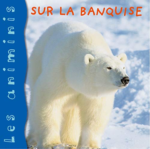 Stock image for Sur la banquise for sale by Ammareal