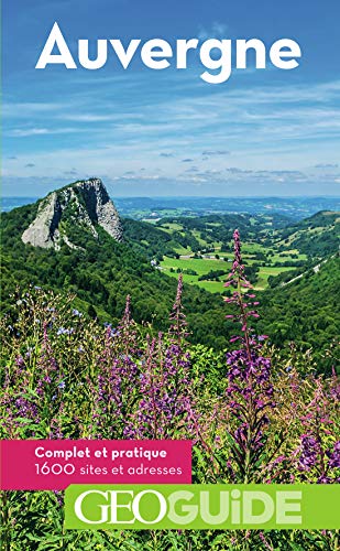 Stock image for Guide Auvergne for sale by Ammareal