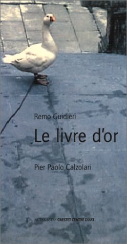 9782742722969: Le livre d'or: Pier Paolo Calzolari