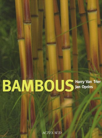 Stock image for Bambous for sale by Ammareal