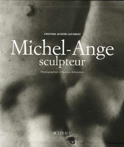 9782742762392: Michel-Ange sculpteur