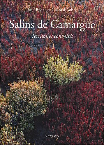 Stock image for Salins de camargue: Territoires convoit s [Paperback] Chantal Aubry and Jean Roch for sale by LIVREAUTRESORSAS