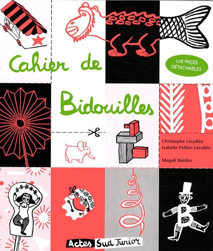 Beispielbild fr Cahier de Bidouilles zum Verkauf von Ammareal