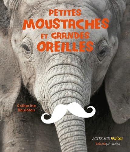 Beispielbild fr Petites moustaches et grandes oreilles zum Verkauf von Ammareal