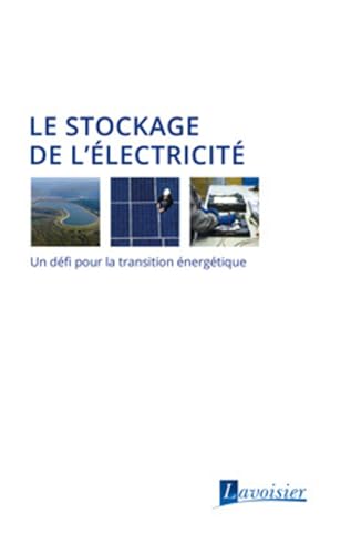 Stock image for Le stockage de l'lectricit: Un dfi pour la transition nergtique for sale by Gallix