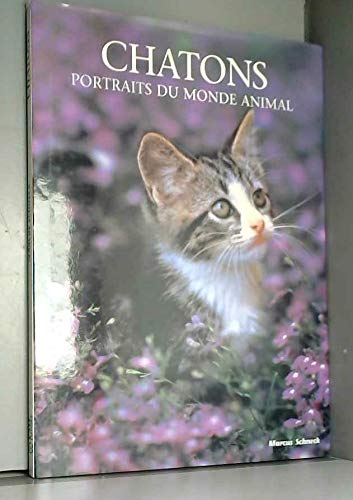 Beispielbild fr Chatons : Portraits du monde animal zum Verkauf von Ammareal