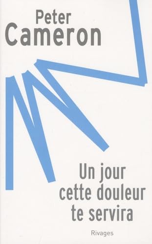 Jour cette douleur te servira (Un) (RIVAGES) (9782743618193) by PETER CAMERON/SUZANNE V MAYOUX