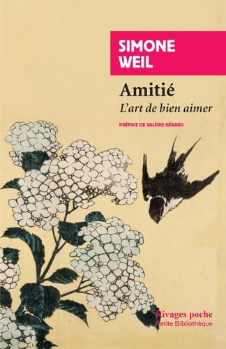 9782743635961: Amiti: L'art de bien aimer