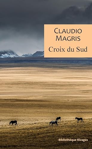 Stock image for Croix du sud: Trois vies vraies et improbables for sale by Ammareal