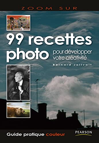 Stock image for 99 RECETTES PHOTO POUR DEVELOPPER VOTRE CREATIVITE for sale by Ammareal