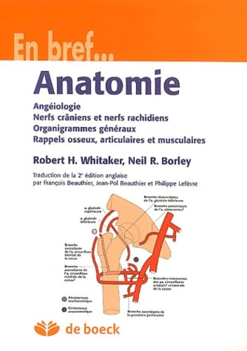 Beispielbild fr Anatomie. Angiologie, nerfs cniens et nerfs rachidiens, organigrammes gnraux, rappel osseux, articulaires et musculaires zum Verkauf von medimops