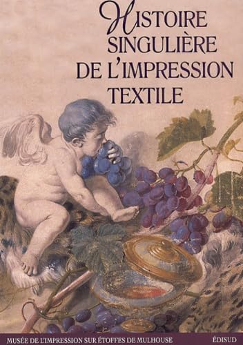 9782744902406: Histoire Singuliere De L'Impression Textile