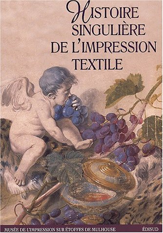 9782744902406: Vies prives - histoire singulire de l'impression textile