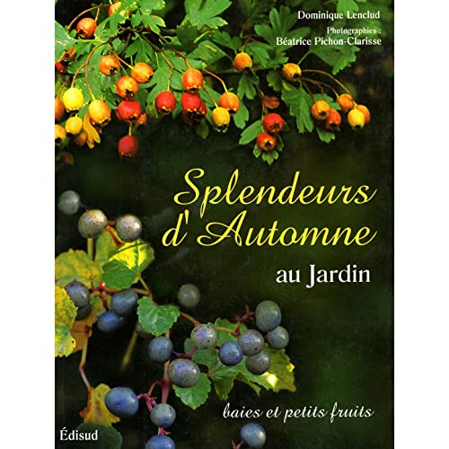 Beispielbild fr Splendeurs d'automne au jardin : Baies et petits fruits zum Verkauf von Ammareal