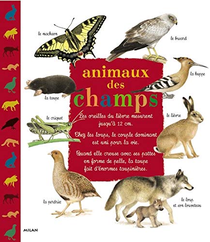 Beispielbild fr Animaux des champs zum Verkauf von Ammareal