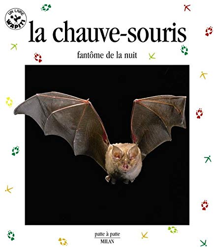 Beispielbild fr La Chauve-souris : Fantme de la nuit zum Verkauf von Ammareal