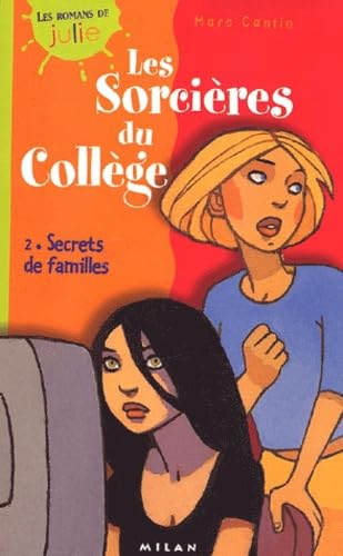 Stock image for Secrets de familles for sale by WorldofBooks