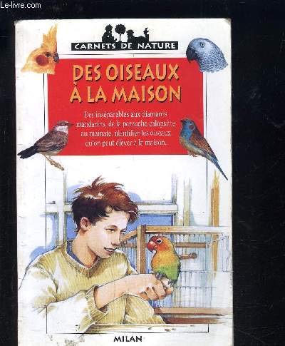 Beispielbild fr Des oiseaux  la maison zum Verkauf von Ammareal