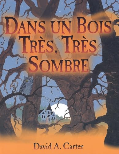 9782745907387: Dans un bois trs, trs sombre