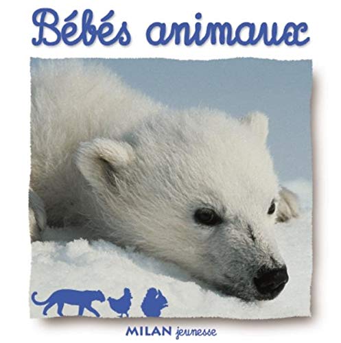 Stock image for Bbs Animaux for sale by RECYCLIVRE